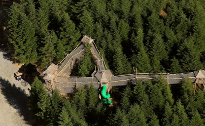 Království lesa na Lipně