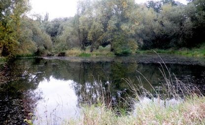 Přírodní památka Komořanské a Modřanské tůně