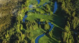 Šumava 💚
📷 © CzechTourism – fotobanka, autor: Libor Sváček…