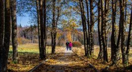 Kam jinam v této době.... než do přírody? 👣
#rekavltavaig …
