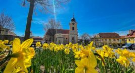 Týn nad Vltavou je město v okrese České Budějovice v…