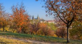Praha jako na dlani 💕 Takový pohled vám nabídne rozhledna…