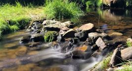 Alpy ohromí, Šumavsko pohladí 🥰
#rekavltava #vltavariver …