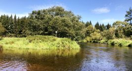 💧 Kde se Vltava rodí...
V nadmořské výšce 731 metrů, ukrytý…