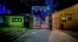 ✨Nenechte si ujít poslední dny na návštěvu rozsvícené ZOO…