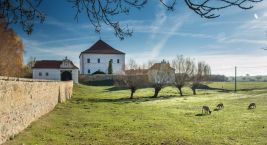 Nový hrádek Krčínov nad Křepenicí, nebo také tvrz Jakuba…