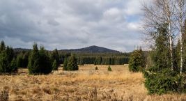 V okolí Stožce, který se nachází v NP Šumava, se nudit…