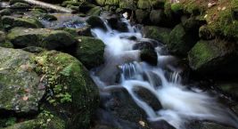 Schwarzenberský plavební kanál byl postaven před více než…