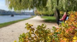 🌊 Když Vltava šeptá... 🚴♀️🛼🚶♂️
Tam, kde se řeka vine…
