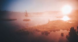 Ranní mlhy kolem jezírka v Chalupské slati vytváří působivé…