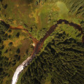 Za jeden ze dvou hlavních pramenů Vltavy 💙 je považována řeka Teplá Vltava pramenící na svahu Černé hory na Šumavě 🌲🌳🌲.…