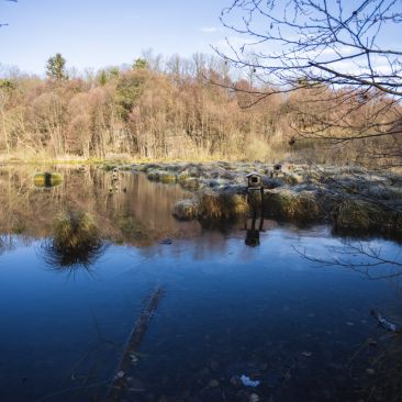 🌿🚶♀️ Objevte kouzlo Naučné stezky podél Vltavy v Liběchově! 🌊🏞️
Naučná stezka u Liběchova je součástí CHKO Kokořínsko…